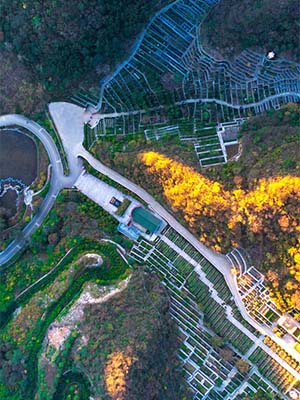 九公山长城纪念林墓型